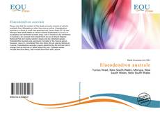 Bookcover of Elaeodendron australe