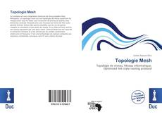 Topologie Mesh的封面