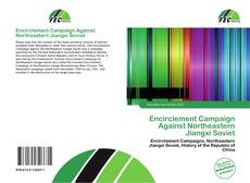 Encirclement Campaign Against Northeastern Jiangxi Soviet的封面