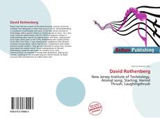 Buchcover von David Rothenberg