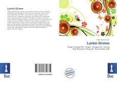 Bookcover of Larkin Grimm