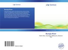 Capa do livro de Bunyip River 