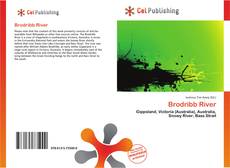 Buchcover von Brodribb River