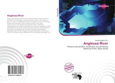 Capa do livro de Anglesea River 