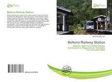 Copertina di Belluno Railway Station