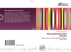 Portada del libro de Maungakotukutuku Stream