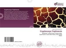 Copertina di Cryptocarya Triplinervis