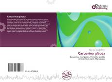 Copertina di Casuarina glauca