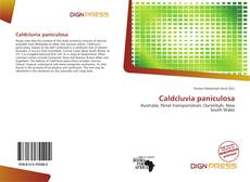 Couverture de Caldcluvia paniculosa