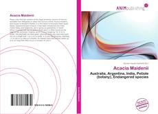 Portada del libro de Acacia Maidenii