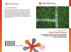 Capa do livro de Juan Pablo Reyes 