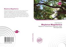 Bookcover of Maytenus Magellanica