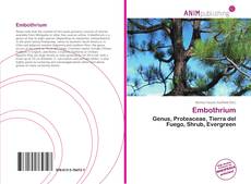 Portada del libro de Embothrium