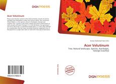 Bookcover of Acer Velutinum