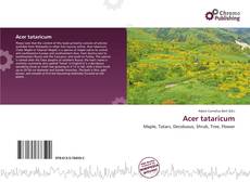 Copertina di Acer tataricum