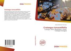 Bookcover of Crataegus tanacetifolia