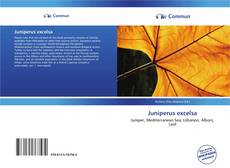 Capa do livro de Juniperus excelsa 