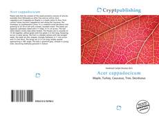 Couverture de Acer cappadocicum