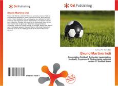 Capa do livro de Bruno Martins Indi 