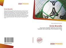 Ernie Brandts的封面