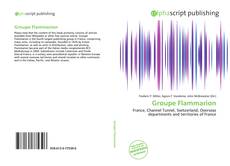 Bookcover of Groupe Flammarion