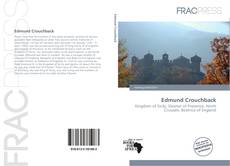 Edmund Crouchback kitap kapağı