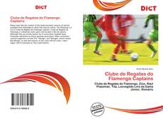 Bookcover of Clube de Regatas do Flamengo Captains