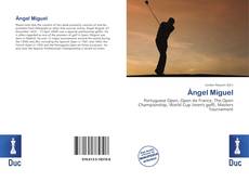 Bookcover of Ángel Miguel