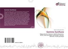 Copertina di Gomme Xanthane