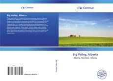 Capa do livro de Big Valley, Alberta 