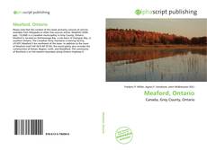 Buchcover von Meaford, Ontario