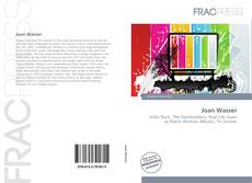 Joan Wasser的封面