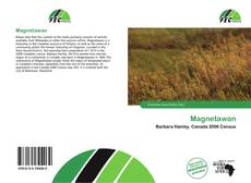 Buchcover von Magnetawan