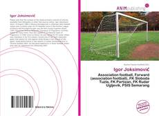 Portada del libro de Igor Joksimović