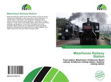 Buchcover von Maarheeze Railway Station