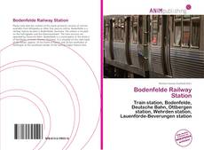 Capa do livro de Bodenfelde Railway Station 