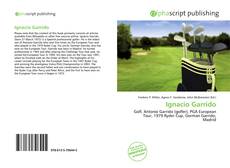 Bookcover of Ignacio Garrido