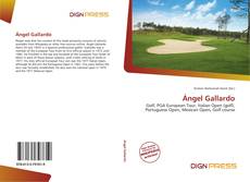 Ángel Gallardo的封面