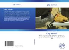 Chip Ambres kitap kapağı