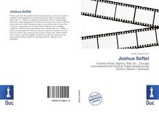 Capa do livro de Joshua Seftel 