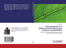Copertina di Characterization of Different Sweet Blue Lupin (Lupinus angustifolius)
