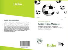 Bookcover of Junior Felício Marques