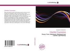 Bookcover of Llanfair Caereinion