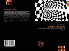 Buchcover von Villages in Gower