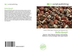 Bulla Quoyii的封面