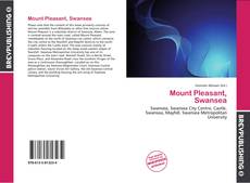 Bookcover of Mount Pleasant, Swansea