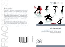 Portada del libro de David Pelletier