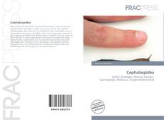 Portada del libro de Cephalaspidea