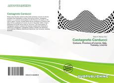 Buchcover von Castagneto Carducci