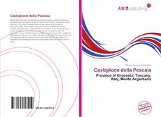 Portada del libro de Castiglione della Pescaia